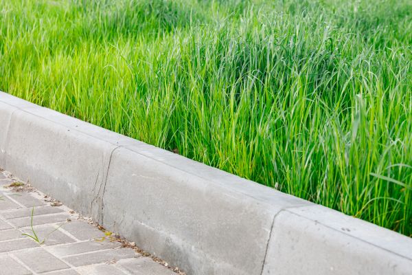 Cost of Concrete Curb Repair in Lenoir City
