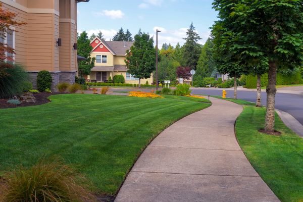 Cost of Sidewalk Patching in Lenoir City